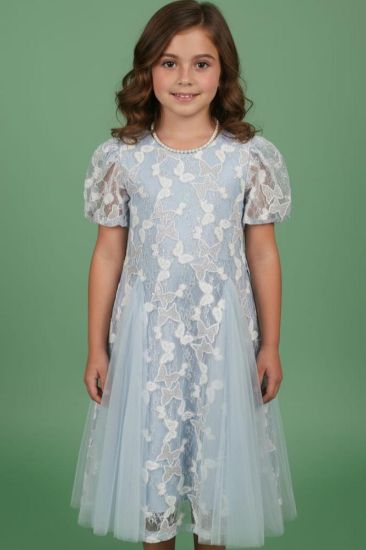 صورة فستان أزرق أنيق مزين بالتل على الفستان